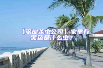 【深圳殺蟲(chóng)公司】家里有黑色是什么蟲(chóng)？