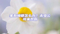 家有蟑螂怎么辦？殺蟲公司來幫你
