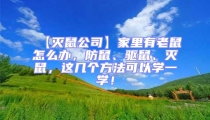 【滅鼠公司】家里有老鼠怎么辦，防鼠、驅(qū)鼠、滅鼠，這幾個方法可以學(xué)一學(xué)！