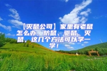 【滅鼠公司】家里有老鼠怎么辦，防鼠、驅(qū)鼠、滅鼠，這幾個方法可以學一學！