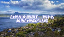 白蟻在家里猖狂，有什么防治白蟻的方法嗎