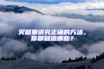 滅鼠要講究正確的方法，你都知道哪些？