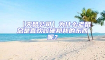 【滅鼠公司】為什么老鼠總是喜歡咬硬邦邦的東西呢？