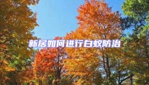 新居如何進(jìn)行白蟻防治