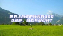 世界上白蟻的種類有3000多種，白蟻有多少種？