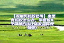 【深圳滅螞蟻公司】家里有螞蟻怎么辦，學(xué)會(huì)這4個(gè)簡(jiǎn)單方法讓你家里再無螞蟻！