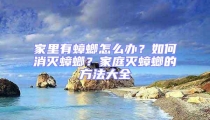 家里有蟑螂怎么辦？如何消滅蟑螂？家庭滅蟑螂的方法大全
