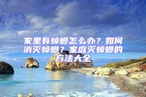 家里有蟑螂怎么辦？如何消滅蟑螂？家庭滅蟑螂的方法大全