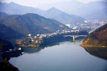 深圳專業(yè)除蟲公司