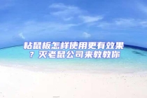 粘鼠板怎樣使用更有效果？滅老鼠公司來教教你