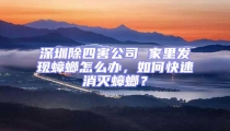 深圳除四害公司 家里發(fā)現(xiàn)蟑螂怎么辦，如何快速消滅蟑螂？