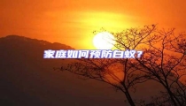 家庭如何預(yù)防白蟻？
