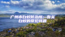 廣州市白蟻防治所：有關(guān)白蟻的常見(jiàn)問(wèn)題
