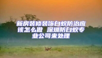 新房裝修裝飾白蟻防治應(yīng)該怎么做 深圳防白蟻專業(yè)公司來處理