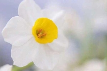 除蟲公司在夏季如何為工廠做好蟲害防控？