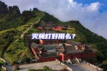 滅蠅燈好用么？