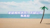 老鼠如何消滅？滅鼠公司有高招