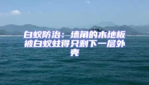 白蟻防治：墻角的木地板被白蟻蛀得只剩下一層外殼