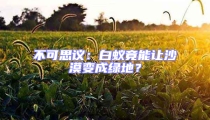 不可思議：白蟻竟能讓沙漠變成綠地？