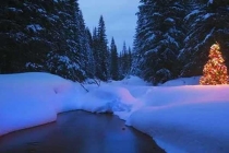 殺蟲(chóng)公司要的就是干脆，不能太過(guò)于猶豫