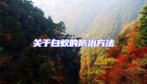 關(guān)于白蟻的防治方法