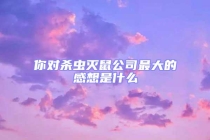 你對殺蟲滅鼠公司最大的感想是什么