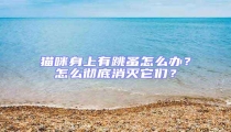 貓咪身上有跳蚤怎么辦？怎么徹底消滅它們？