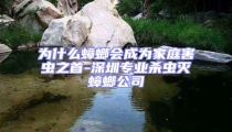 為什么蟑螂會成為家庭害蟲之首-深圳專業(yè)殺蟲滅蟑螂公司