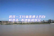 武漢一工行宿舍遭上萬(wàn)白蟻襲擊 木地板被蛀空