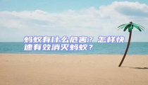 螞蟻有什么危害？怎樣快速有效消滅螞蟻？