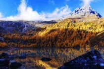 高品質(zhì)深圳專業(yè)滅蟲(chóng)公司為您服務(wù)