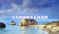 冬天的蟑螂怎么樣治理