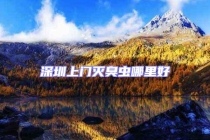 深圳上門(mén)滅臭蟲(chóng)哪里好