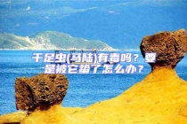 千足蟲(馬陸)有毒嗎？要是被它蟄了怎么辦？