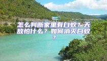 怎么判斷家里有白蟻？天敵怕什么？如何消滅白蟻？