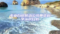 專業(yè)白蟻防治公司帶您科學(xué)認(rèn)識(shí)白蟻