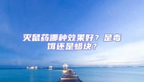 滅鼠藥哪種效果好？是毒餌還是蠟塊？