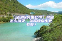 【深圳除臭蟲公司】臭蟲怎么消滅，怎樣除臭蟲更有效？
