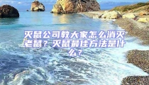 滅鼠公司教大家怎么消滅老鼠？滅鼠最佳方法是什么？