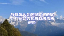 白蟻怎么會爬到家里的呢？廣州越秀區(qū)白蟻防治來解析
