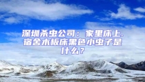 深圳殺蟲公司：家里床上.宿舍木板床黑色小蟲子是什么？