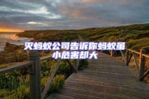 滅螞蟻公司告訴你螞蟻雖小危害卻大