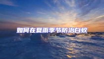 如何在夏雨季節(jié)防治白蟻
