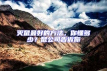 滅鼠最好的方法，你懂多少？鼠公司告訴你