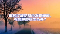 市民訂披薩盒內(nèi)發(fā)現(xiàn)蟑螂，吃到蟑螂該怎么辦？