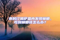 市民訂披薩盒內發(fā)現蟑螂，吃到蟑螂該怎么辦？
