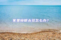 家里蟑螂太多怎么辦？