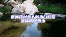 菌類藥材怎么防治白蟻損害你曉得多少
