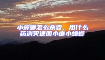 小蟑螂怎么殺要，用什么藥消滅德國小廉小蟑螂
