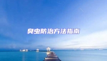 臭蟲(chóng)防治方法指南